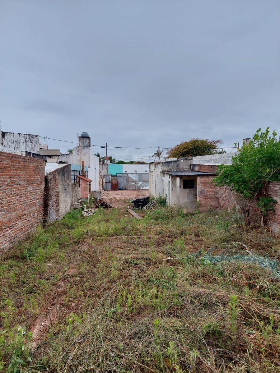 GRAN TERRENO PARA DESARROLLO DE BAJA ESCALA - 2