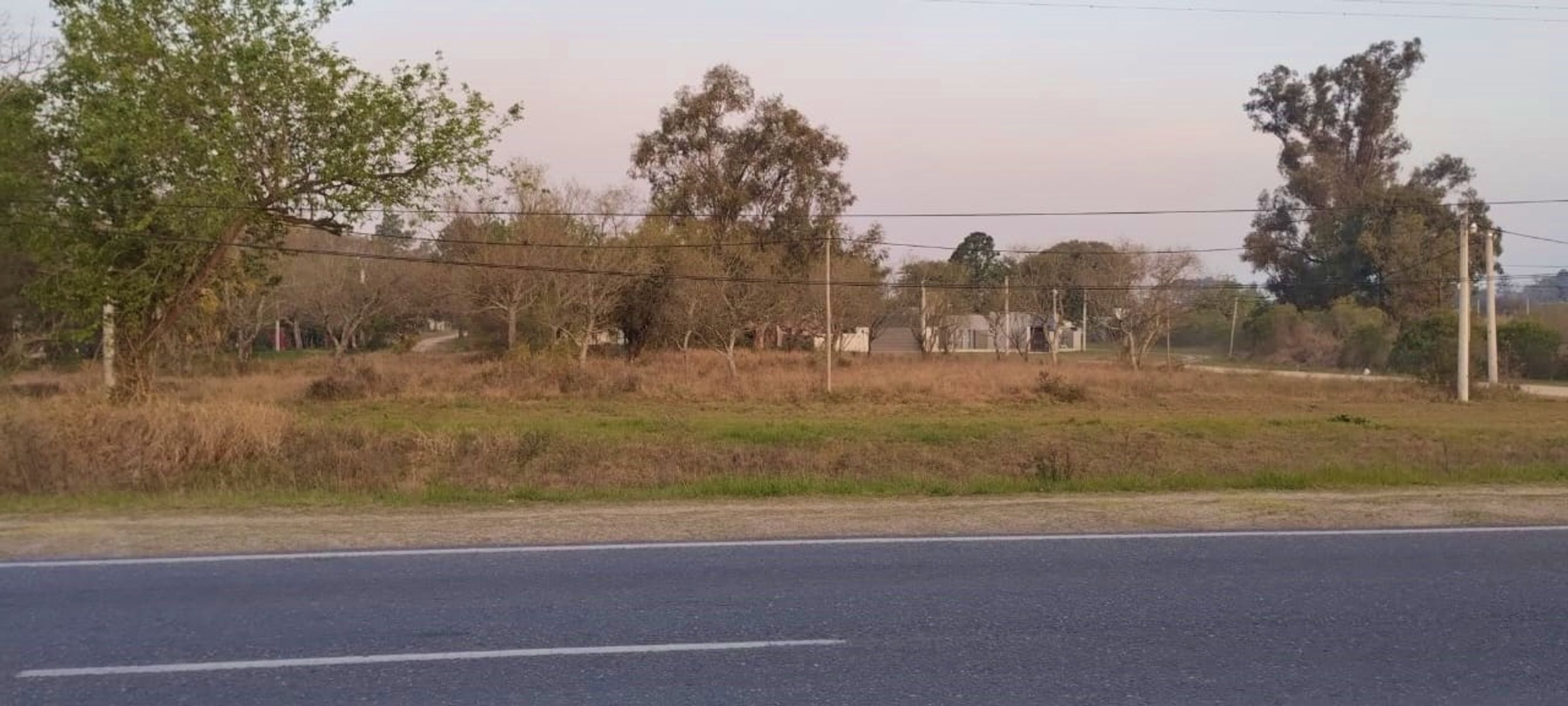 TERRENO DE BUENAS DIMENSIONES SOBRE RUTA 1 - 1