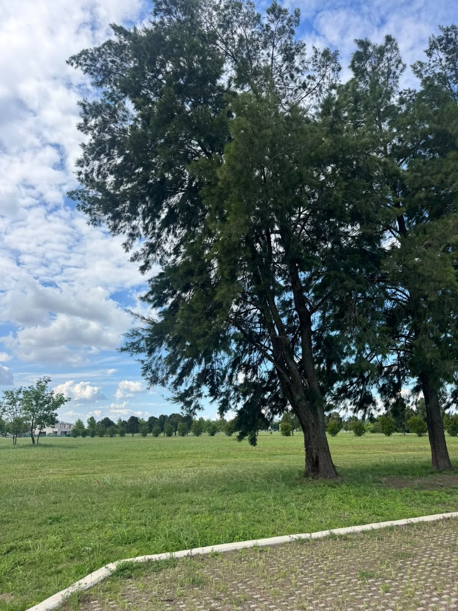 Terreno de 1000 m² en Venta, Santomás Pueblo Verde — foto 5