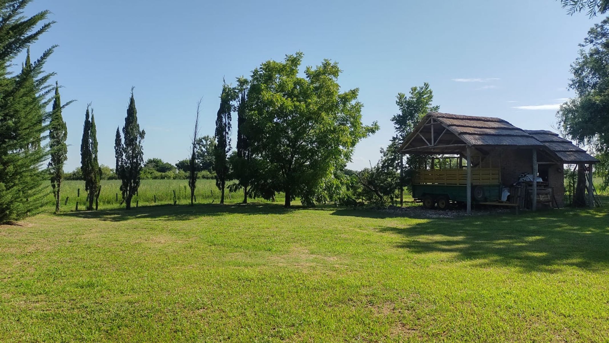 Quinta Rural con 15 Hectáreas Productivas - San Javier - 10