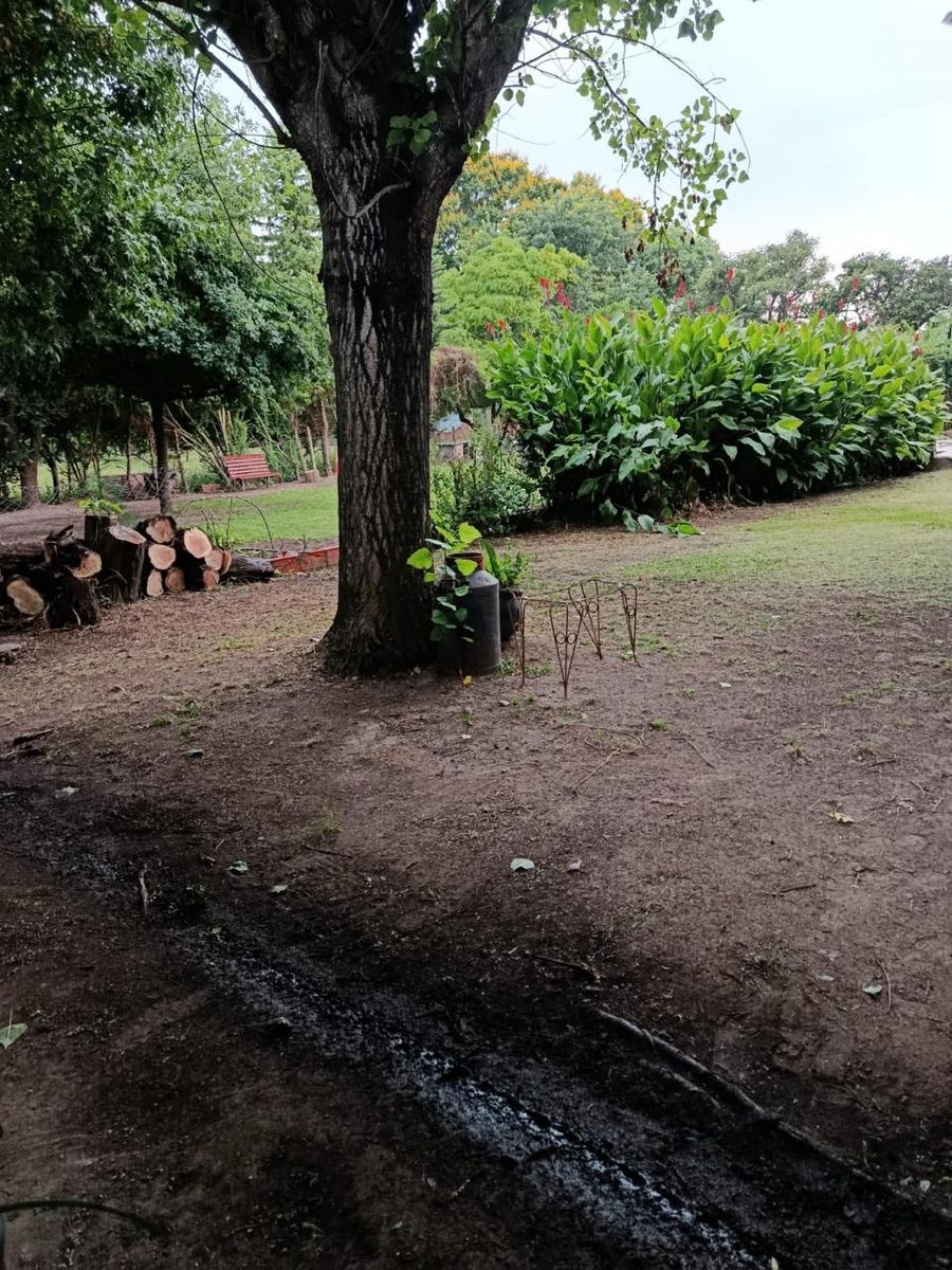VENTA Casa quinta con amplio terreno en Caima - 2