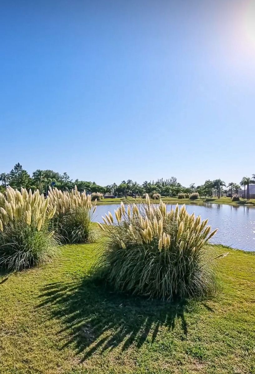 Se VENDE Excepcional terreno en AIRES DEL LLANO. Vista al Lago, sobre el Boulevard principal. - 1