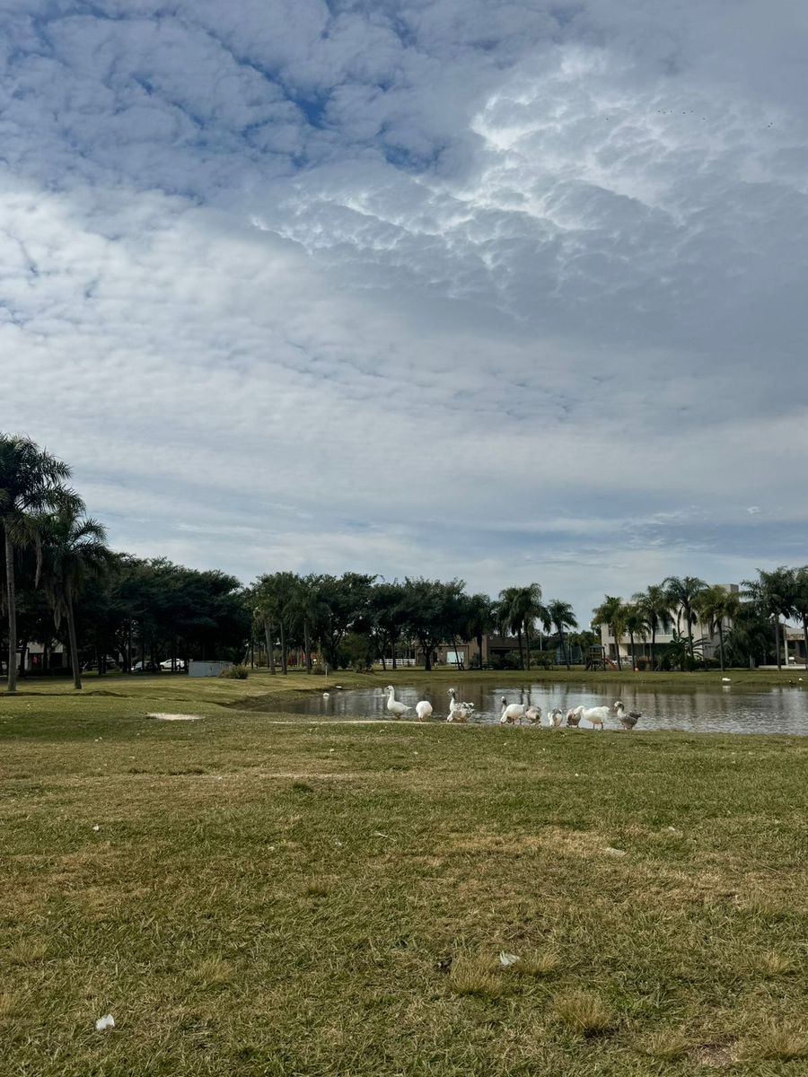 Se VENDE Excepcional terreno en AIRES DEL LLANO. Vista al Lago, sobre el Boulevard principal. - 2