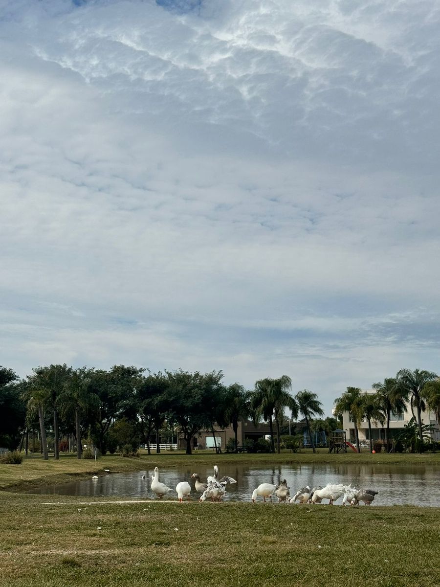 Se VENDE Excepcional terreno en AIRES DEL LLANO. Vista al Lago, sobre el Boulevard principal. - 3
