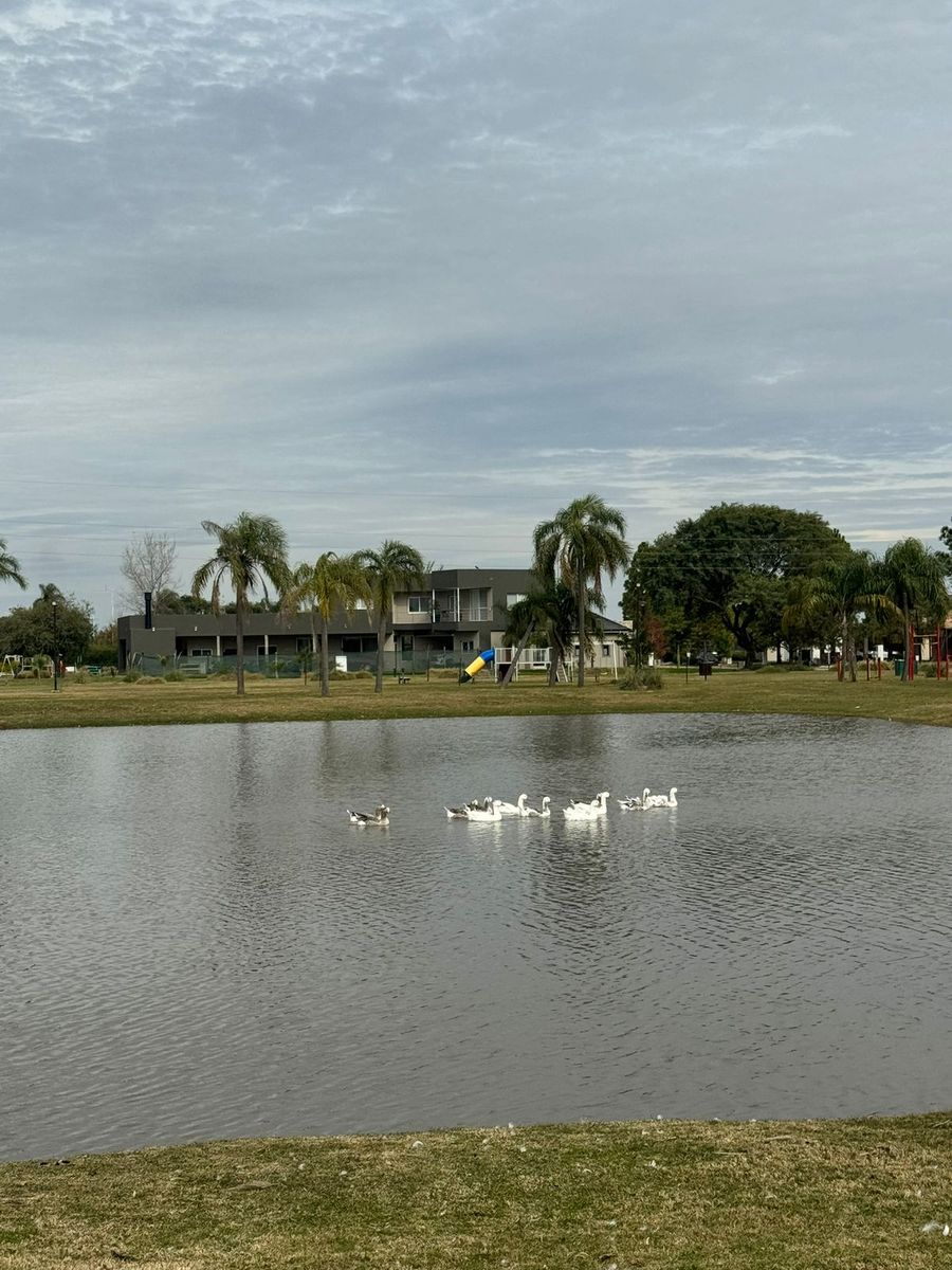 Se VENDE Excepcional terreno en AIRES DEL LLANO. Vista al Lago, sobre el Boulevard principal. - 7