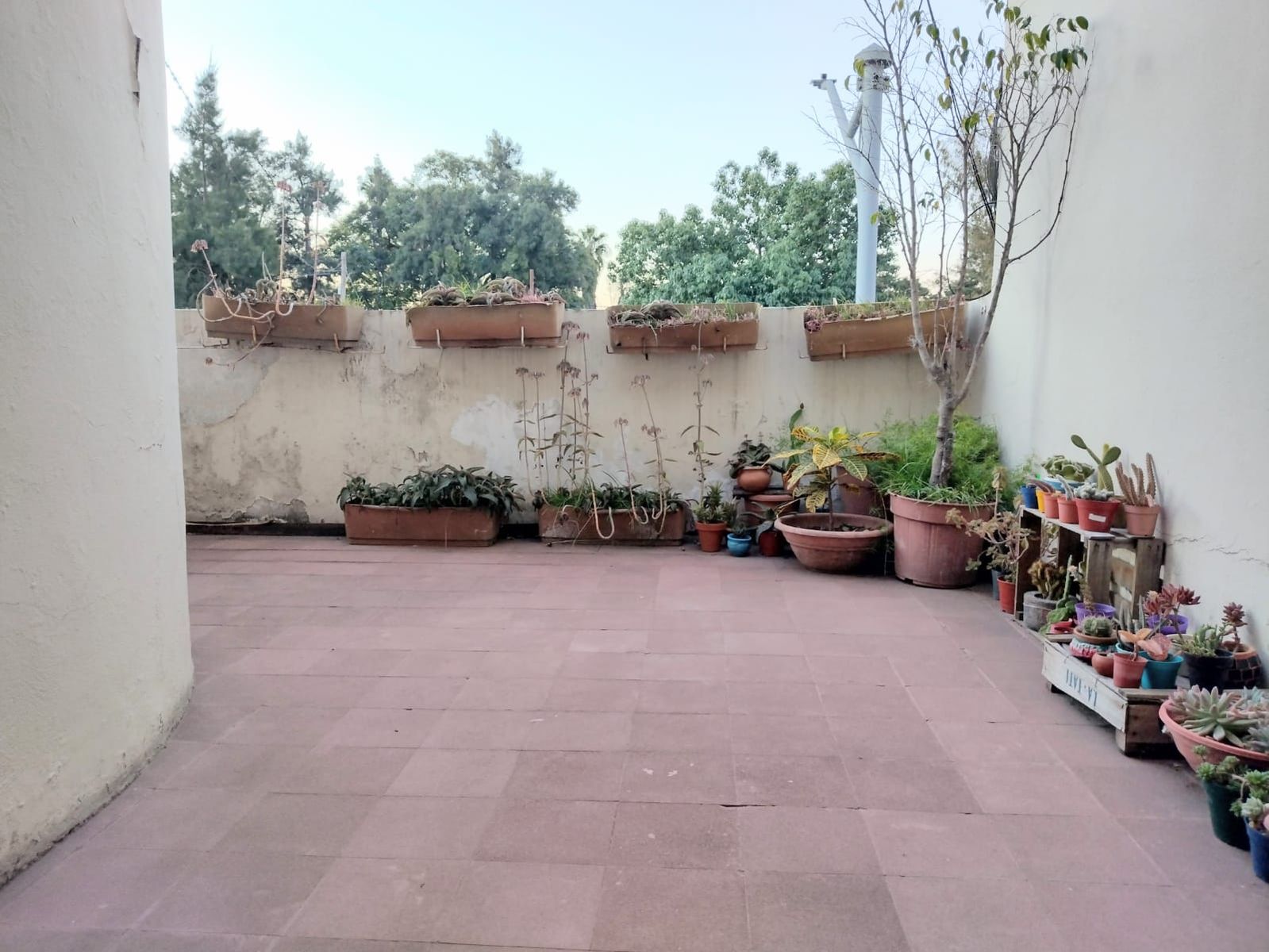 CASA EN BV PELLEGRINI - 7