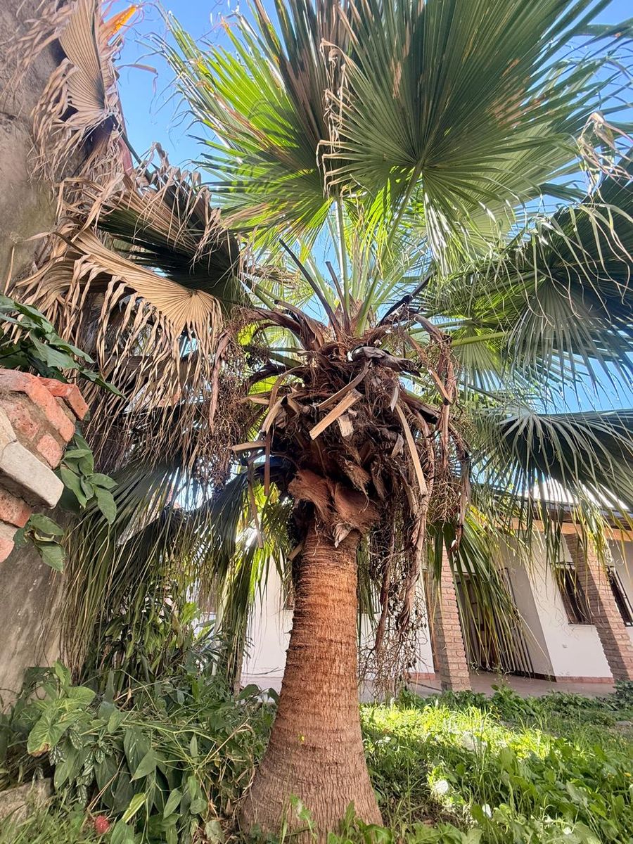 EN VENTA INTERNO CON COCHERA EN ZONA SUR - 15