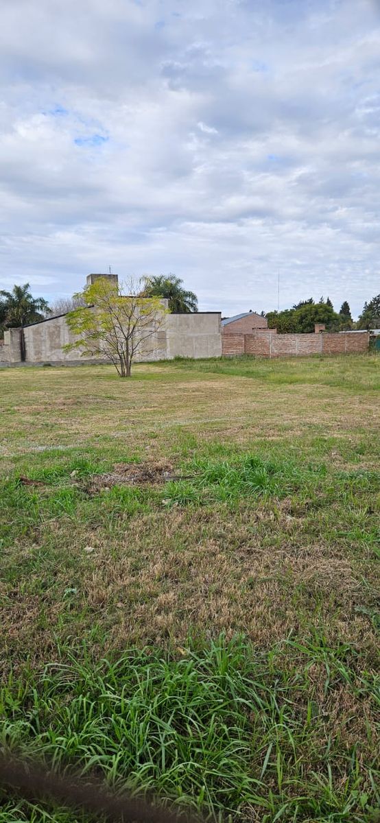 TERRENO FIN DEL VALLE - 3