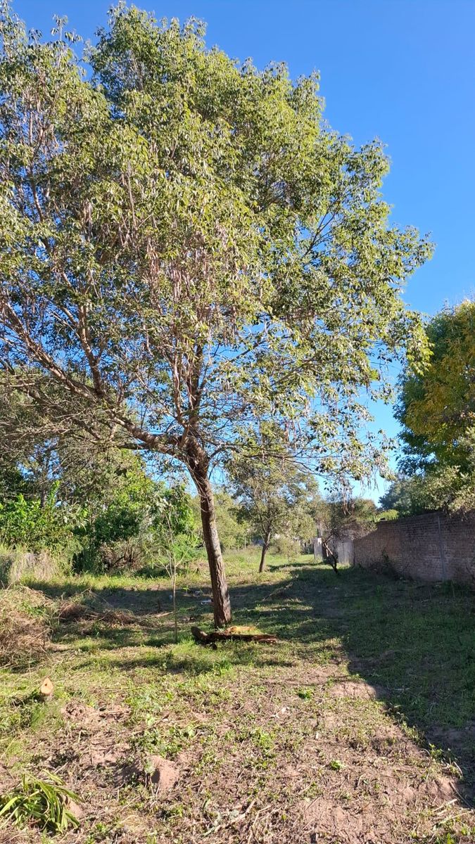 TERRENO EN RINCON NORTE EN EL LÍMITE DE ARROYO LEYES - 2