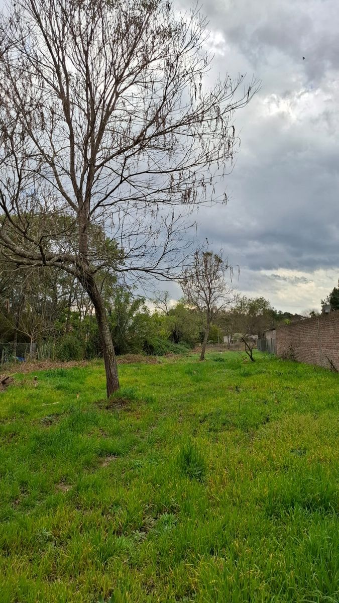 TERRENO EN RINCON NORTE EN EL LÍMITE DE ARROYO LEYES - 3