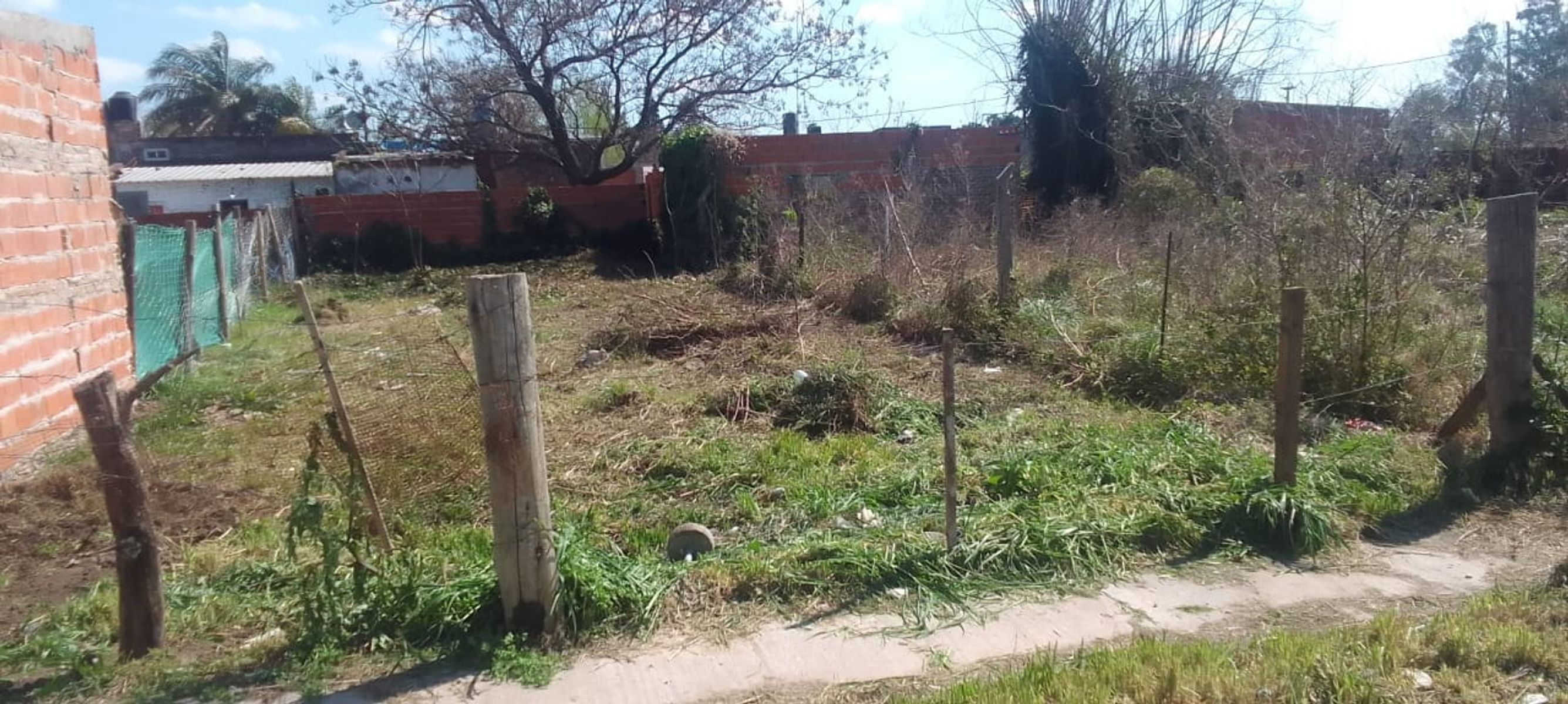 Terreno atras del Supermayorista Vital - 2