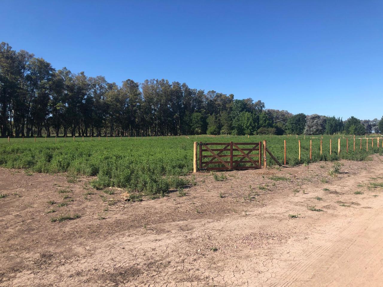 Terreno en Venta en San Andres De Giles - Barrio Cerrado — foto 3