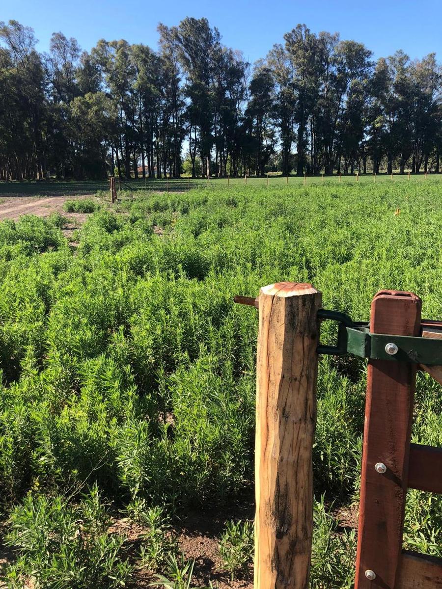 Terreno en Venta en San Andres De Giles - Barrio Cerrado — foto 5