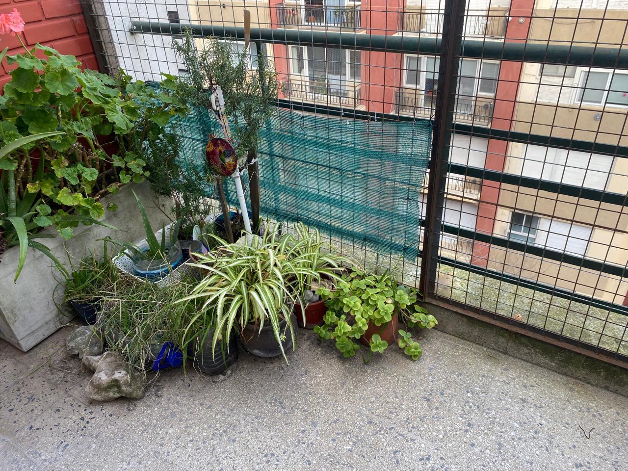 Departamento 2 ambientes en Venta, Plaza Colon | Mar Del Plata | Costa Atlantica - 12