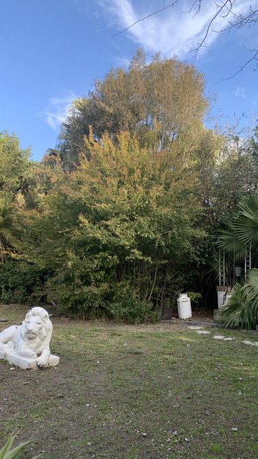 Chalet Sobre Lote De 17 X 55 Metros - Gendra Propiedades - 29