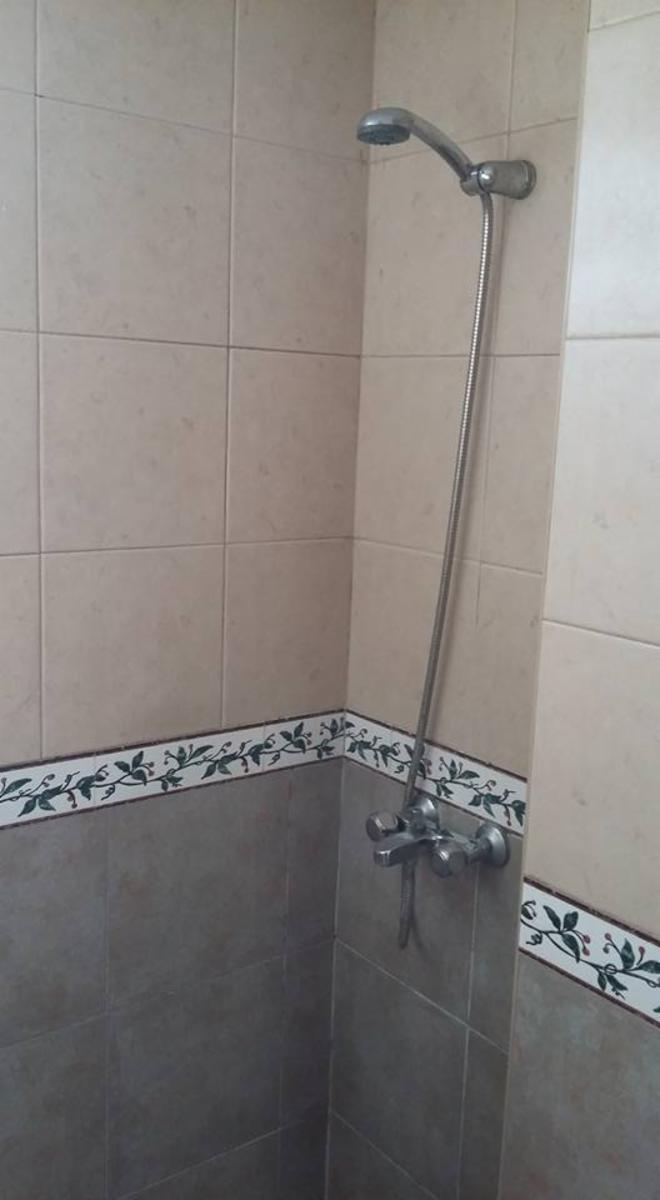 DEPARTAMENTO MONOAMBIENTE SOBRE SANTOS VEGA — foto 2