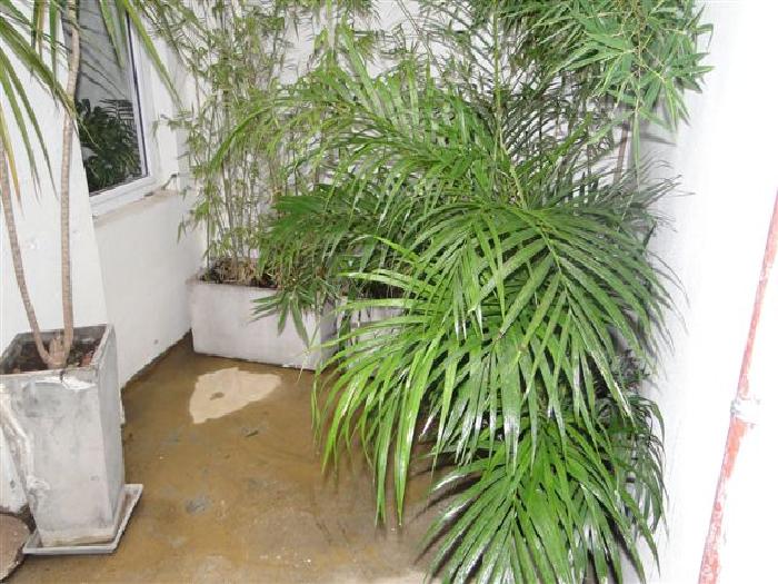 PH en Venta en Villa Urquiza, Capital Federal — foto 10