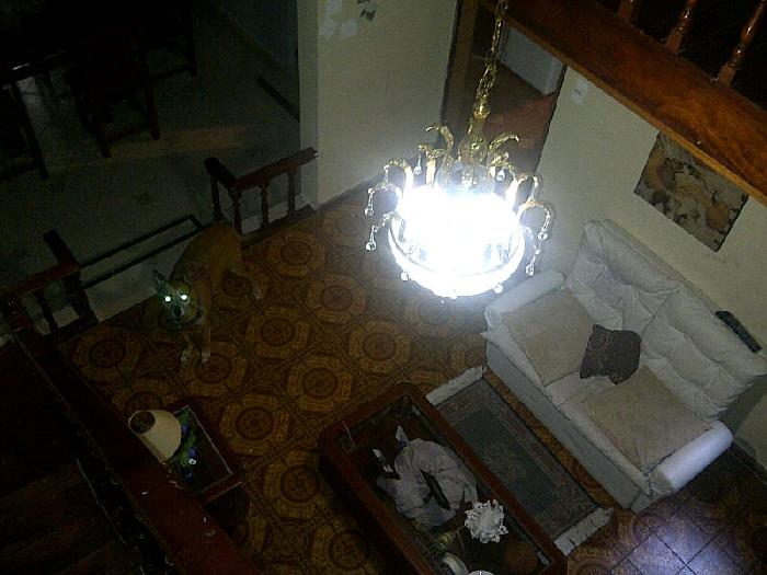 Departamento en Venta en Parque Chacabuco, Capital Federal — foto 5