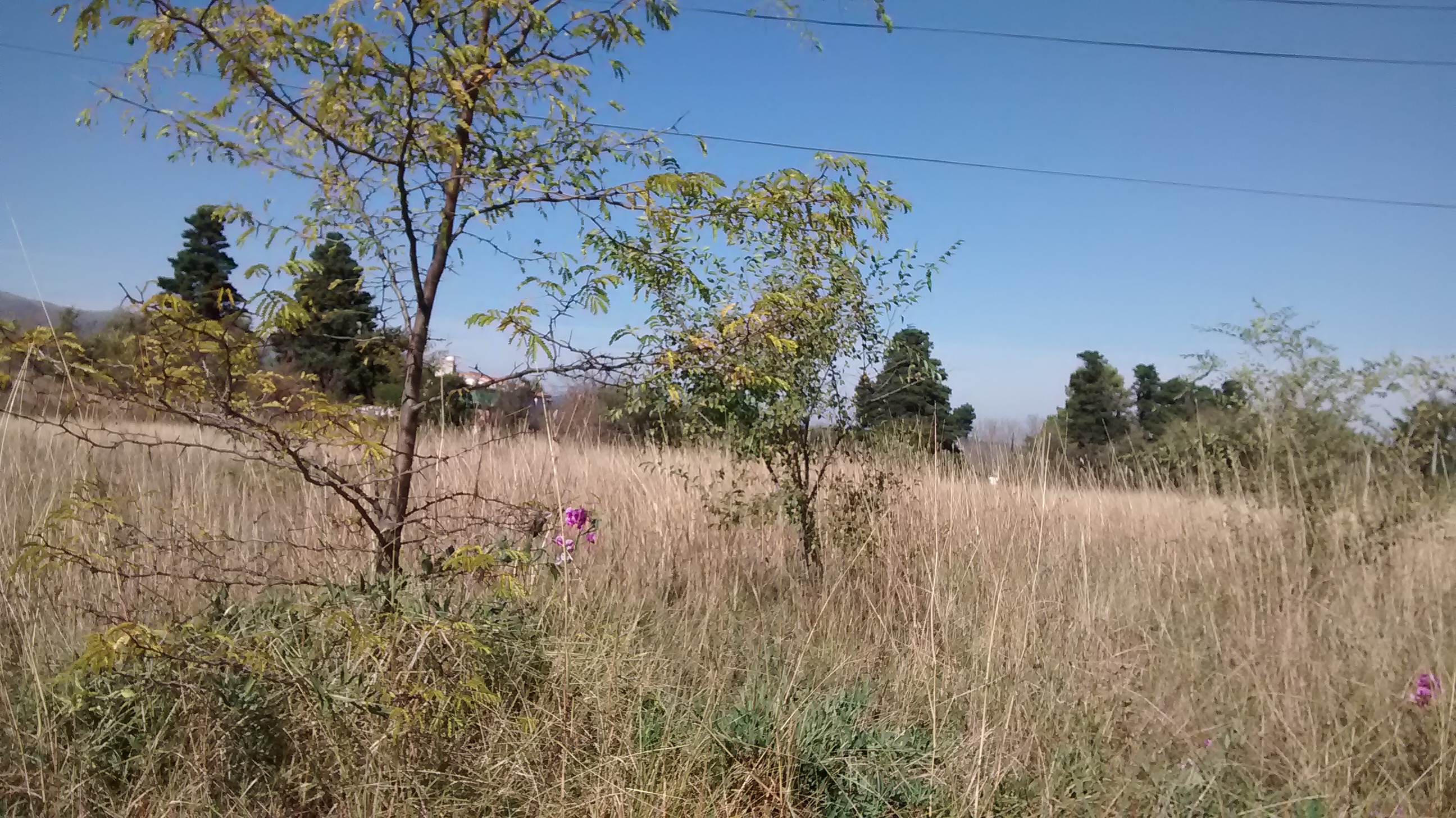 LOTE EN VENTA OPORTUNIDAD PUNILLA