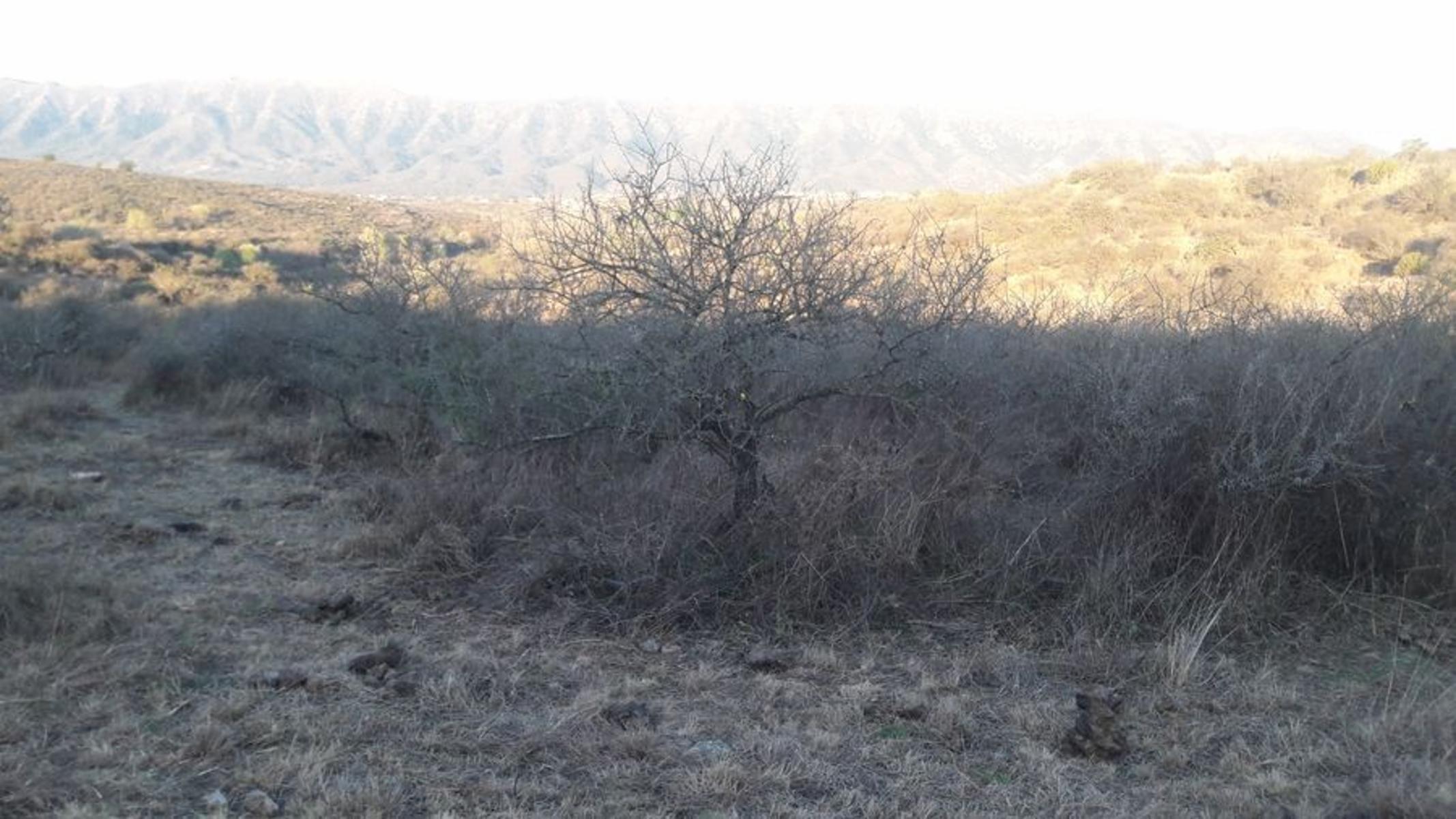 Venta Lote 3.801m2 Escritura en Bialet Massé U$S38.000. — foto 5