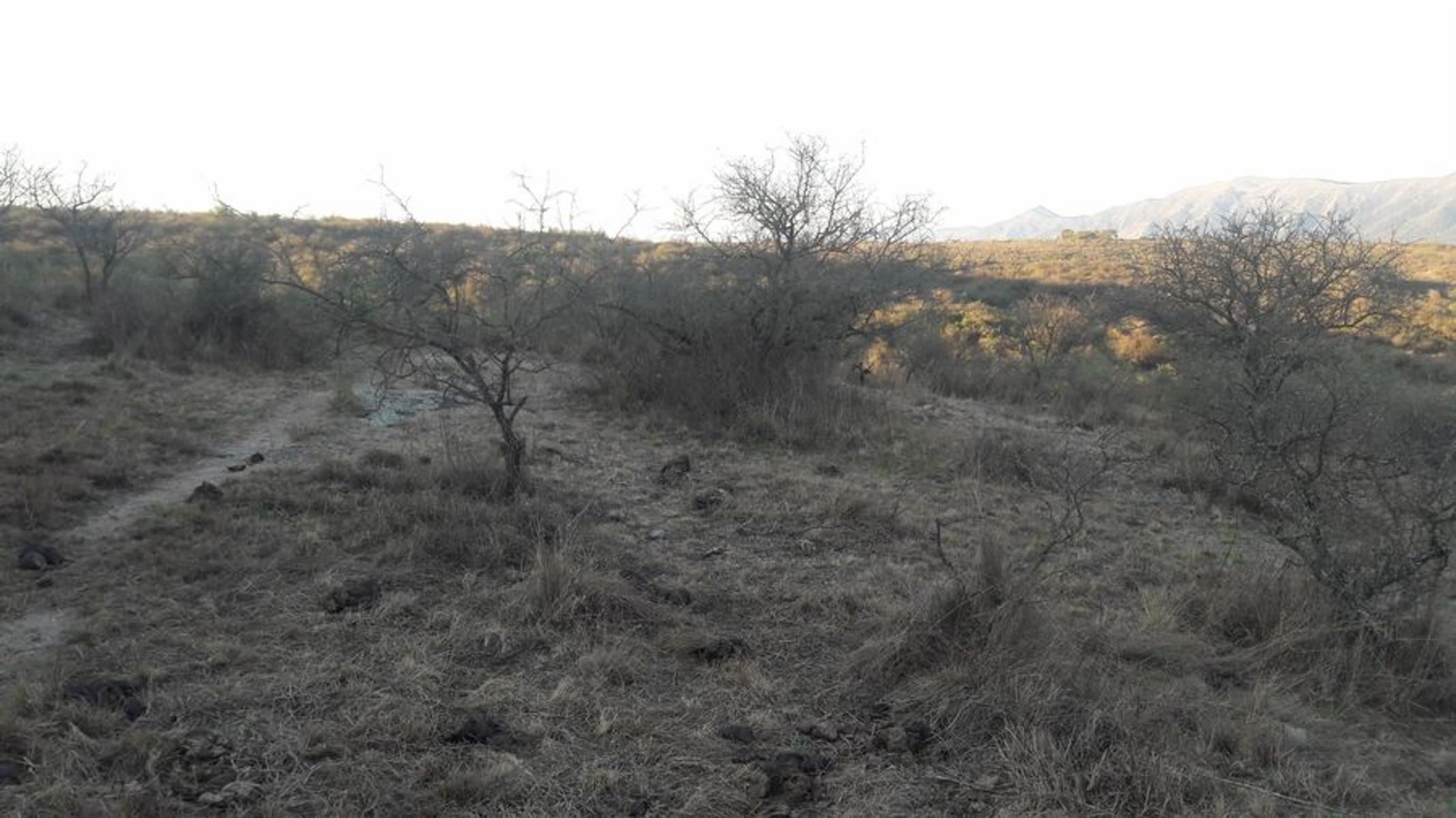 Venta Lote 3.801m2 Escritura en Bialet Massé U$S38.000. — foto 6