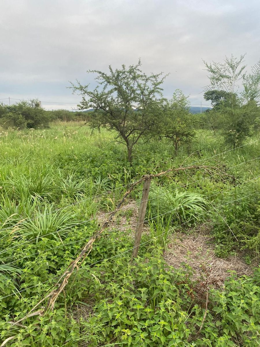 Retasado Venta Lote 2 Mzana. 9 775,19m2 ESCRITURA PÚBLICA BarrioParqueSan José en Anisacate U$S11.000. — foto 5
