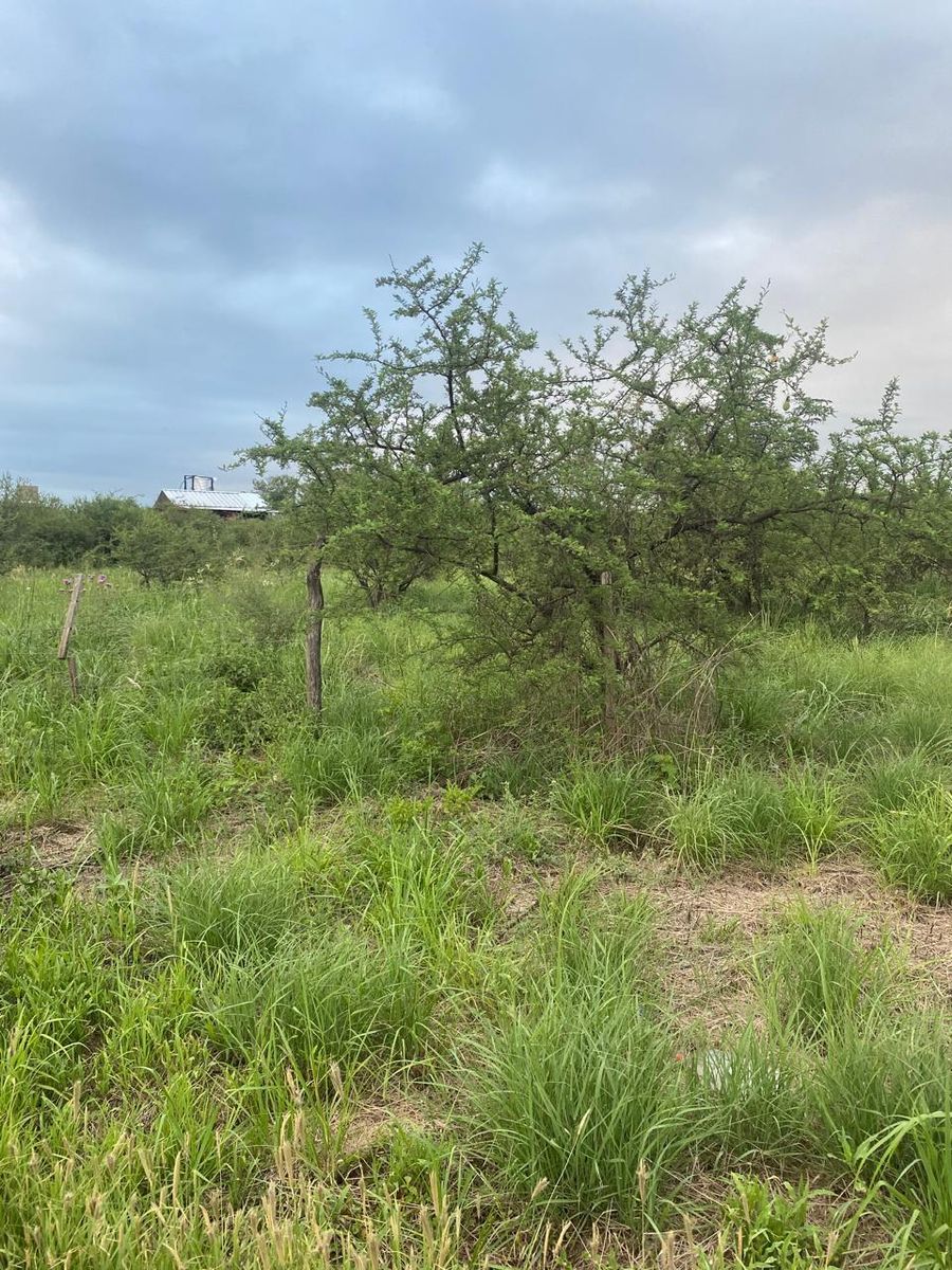 Retasado Venta Lote 2 Mzana. 9 775,19m2 ESCRITURA PÚBLICA BarrioParqueSan José en Anisacate U$S11.000. — foto 12