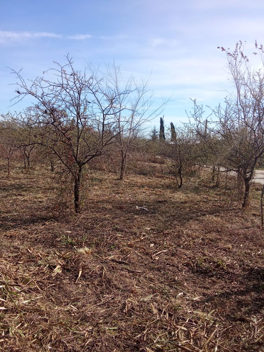 Retasado Venta Lote 2 Mzana. 9 775,19m2 ESCRITURA PÚBLICA BarrioParqueSan José en Anisacate U$S11.000. — foto 15