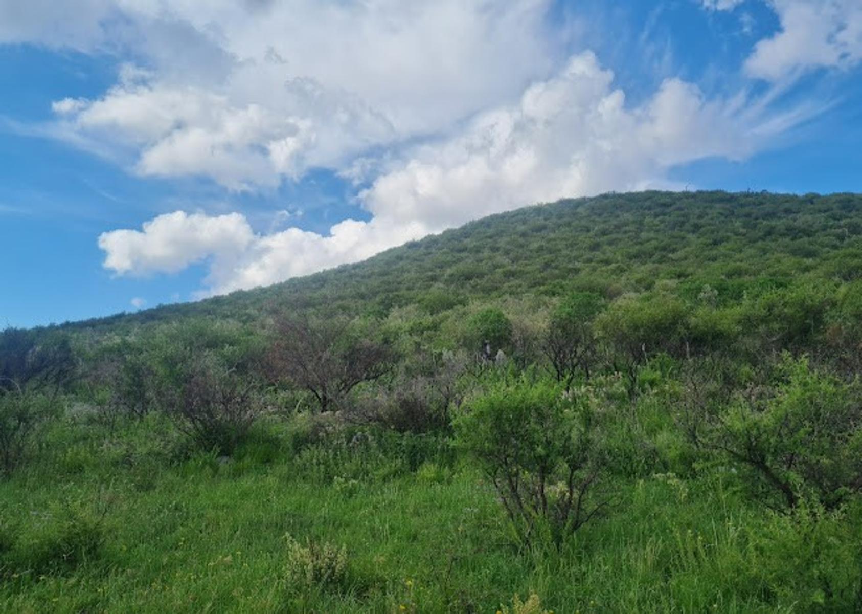 Retasado Venta Oportunidad 17.508m2 Ideal Complejo de Cabañas Escritura en Cruz Grande La Cumbre U$S43m2. — foto 15