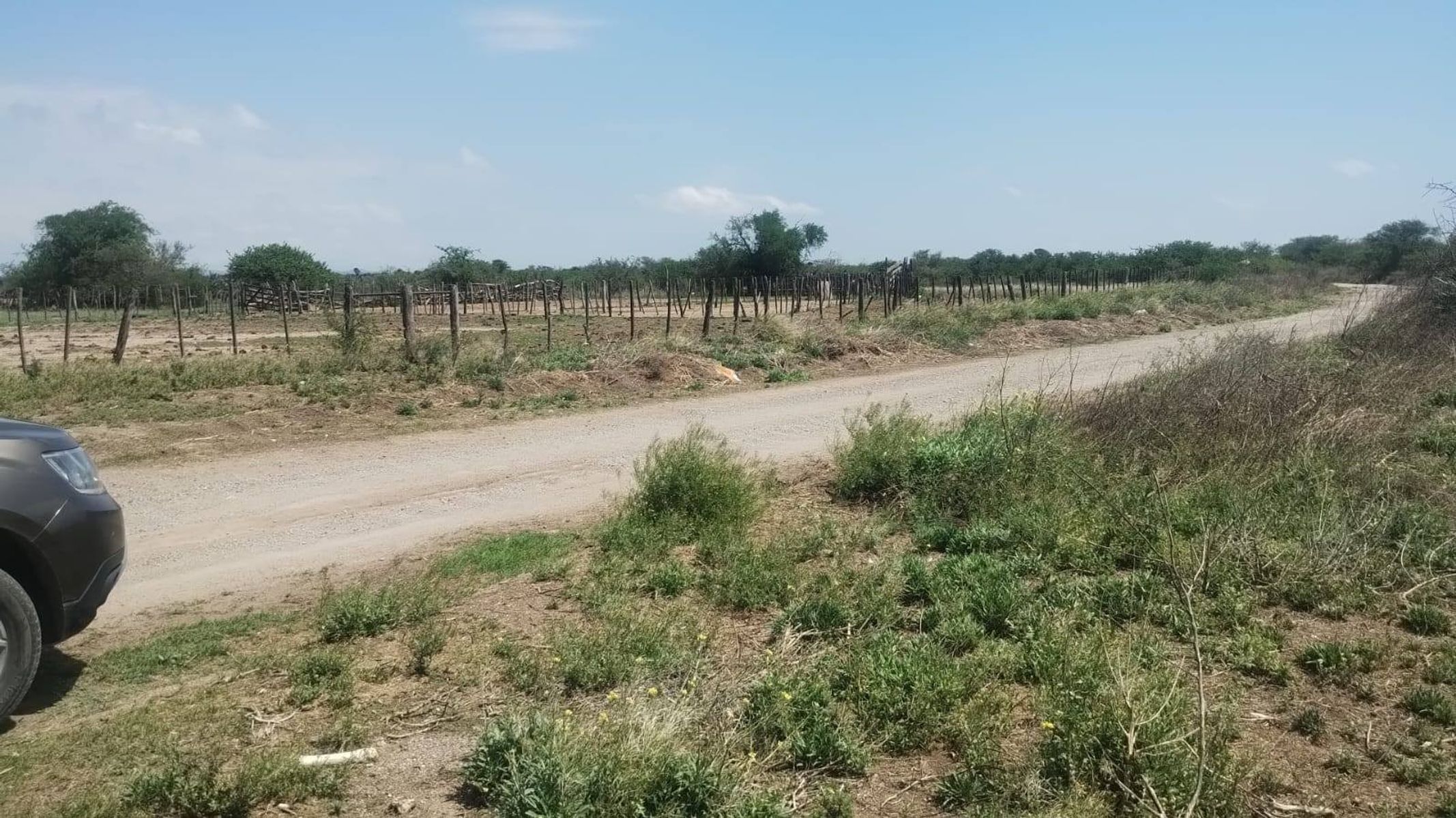 Venta Campo Mixto 700Has. en San Francisco del Chañar U$S550.000. - 2