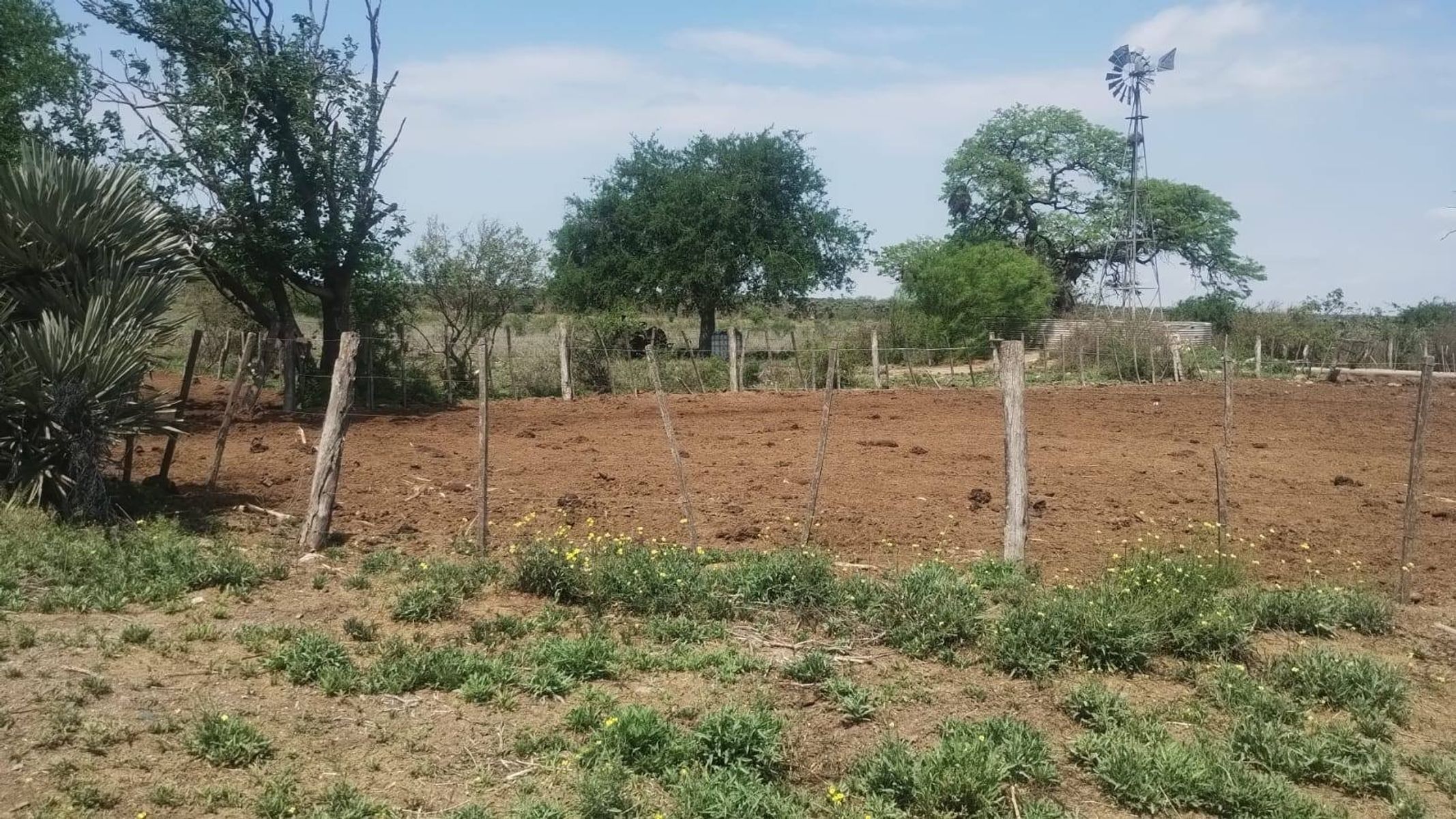 Venta Campo Mixto 700Has. en San Francisco del Chañar U$S550.000. - 3