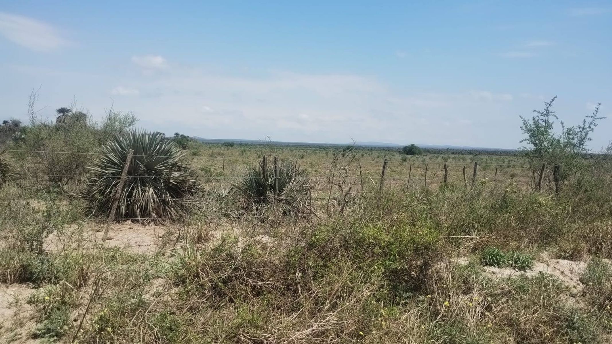 Venta Campo Mixto 700Has. en San Francisco del Chañar U$S550.000. - 4