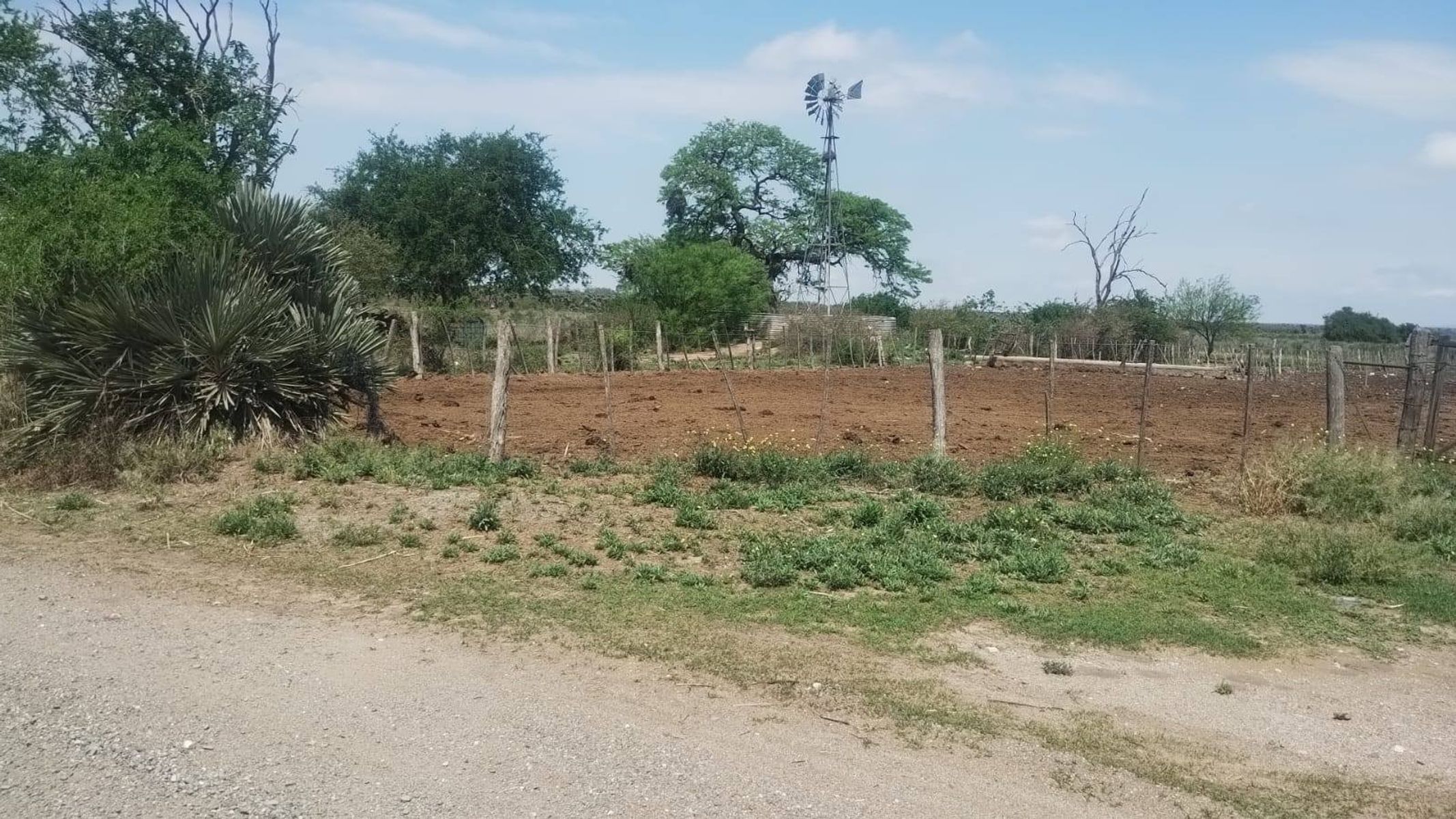 Venta Campo Mixto 700Has. en San Francisco del Chañar U$S550.000. - 5