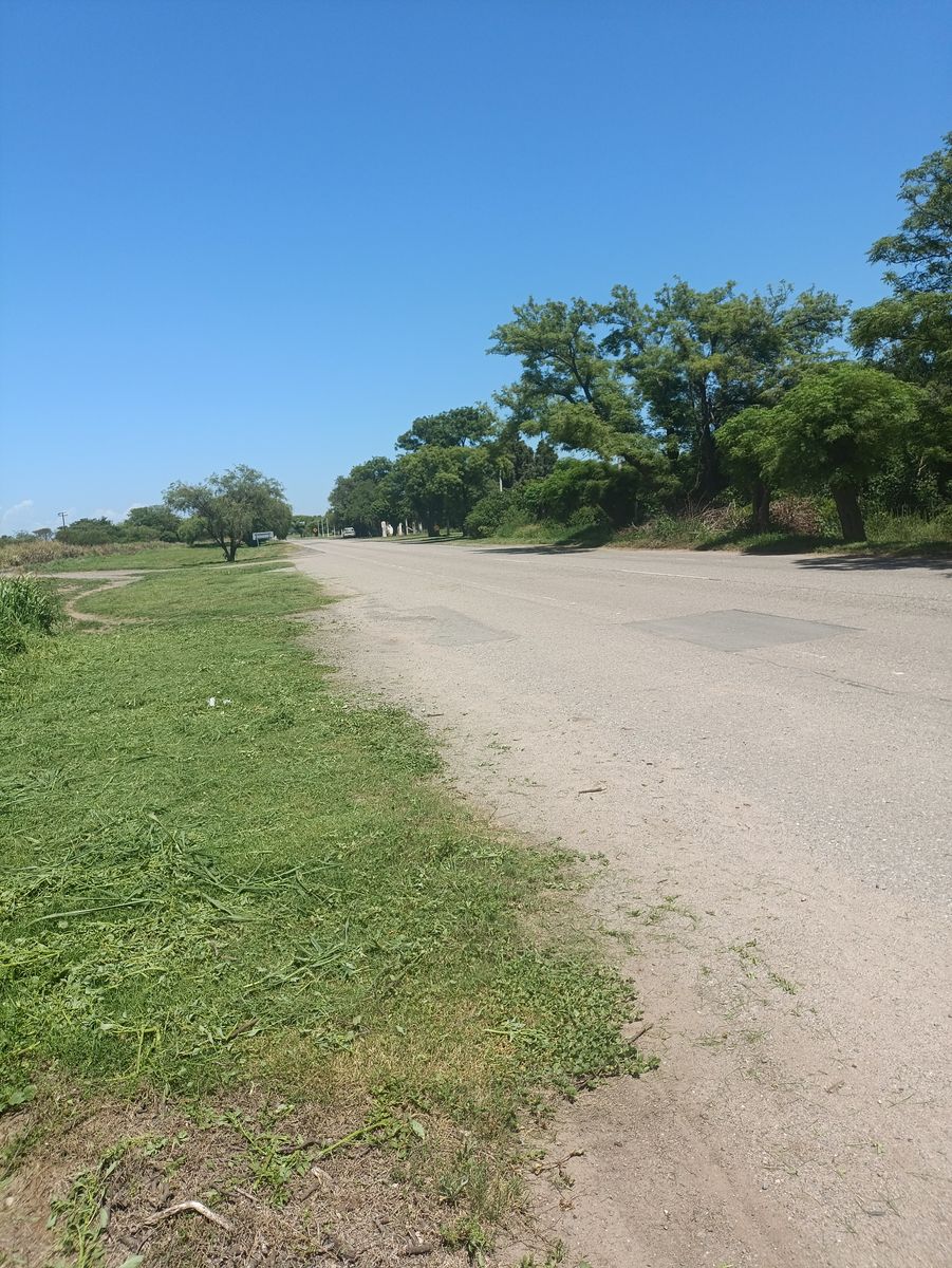 Retasado Casa Quinta a Reciclar Apto Industria Depósito Playa de Camiones U$S58.000. - 5