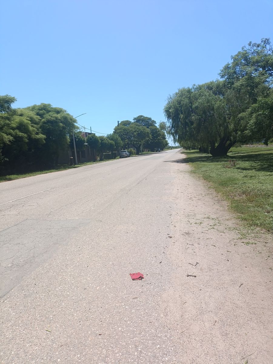 Retasado Casa Quinta a Reciclar Apto Industria Depósito Playa de Camiones U$S58.000. - 6