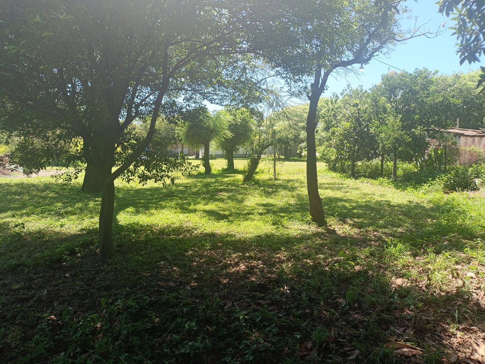 Retasado Casa Quinta a Reciclar Apto Industria Depósito Playa de Camiones U$S58.000. - 21