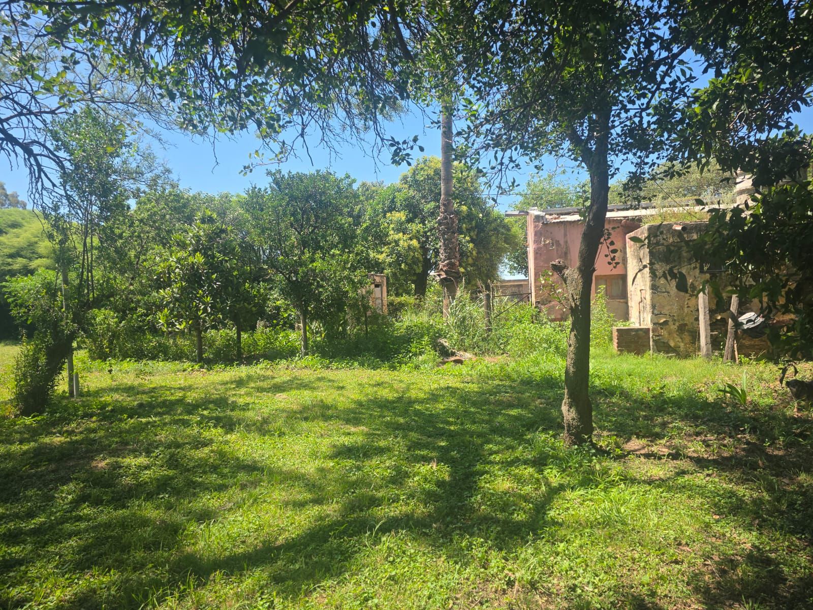 Retasado Casa Quinta a Reciclar Apto Industria Depósito Playa de Camiones U$S58.000. - 38