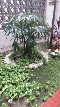 Venta departamento 2 dormitorios — foto 14