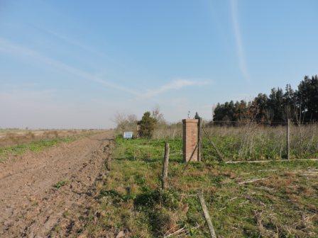 Venta Terreno-Funes