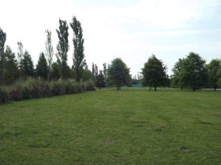 Lote en Country Los Alamos, Ibarlucea — foto 6