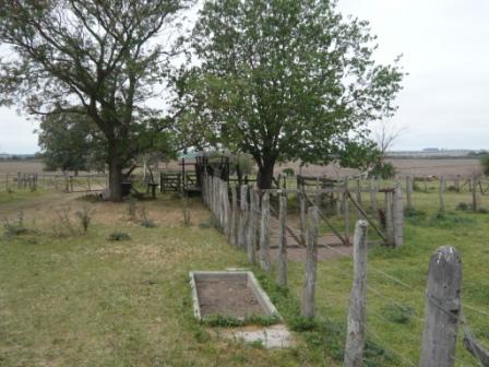 Campo en Victoria, 2 hectareas. Con 2 casas a refaccionar y galpon - 6
