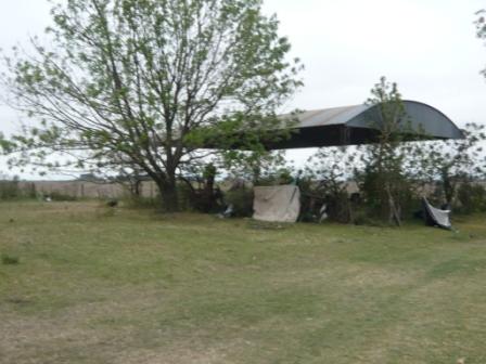 Campo en Victoria, 2 hectareas. Con 2 casas a refaccionar y galpon - 7