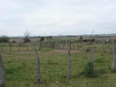 Campo en Victoria, 2 hectareas. Con 2 casas a refaccionar y galpon - 9