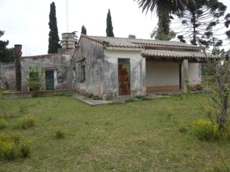 Campo en Victoria, 2 hectareas. Con 2 casas a refaccionar y galpon - 11