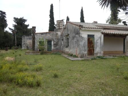 Campo en Victoria, 2 hectareas. Con 2 casas a refaccionar y galpon - 12