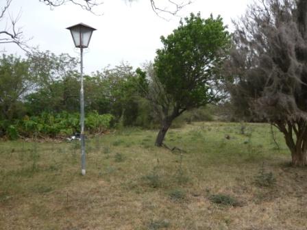 Campo en Victoria, 2 hectareas. Con 2 casas a refaccionar y galpon - 13