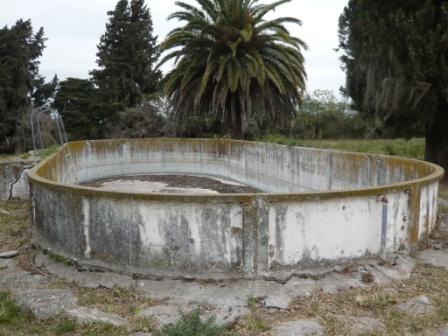 Campo en Victoria, 2 hectareas. Con 2 casas a refaccionar y galpon - 14