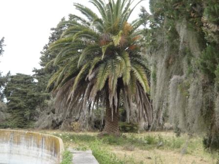 Campo en Victoria, 2 hectareas. Con 2 casas a refaccionar y galpon - 15