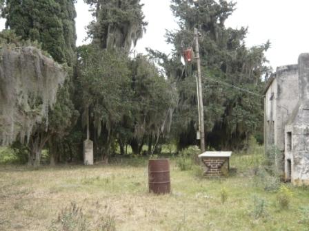 Campo en Victoria, 2 hectareas. Con 2 casas a refaccionar y galpon - 16