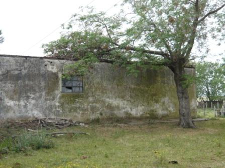 Campo en Victoria, 2 hectareas. Con 2 casas a refaccionar y galpon - 17